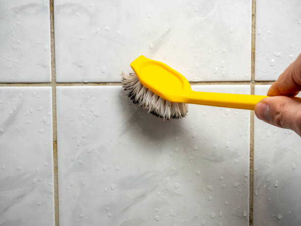 Haskell, TX Mold Removal Company