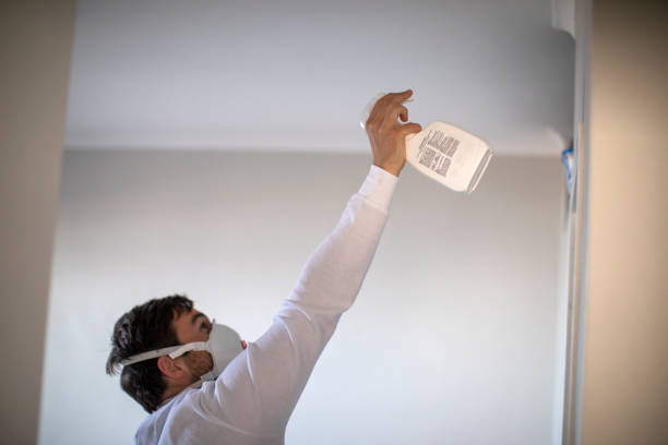 Mold Testing and Removal in Haskell, TX