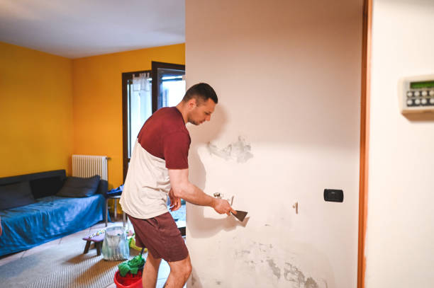 Best Toxic Mold Removal  in Haskell, TX