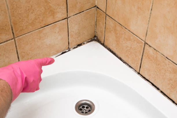 Best Certified Mold Removal  in Haskell, TX